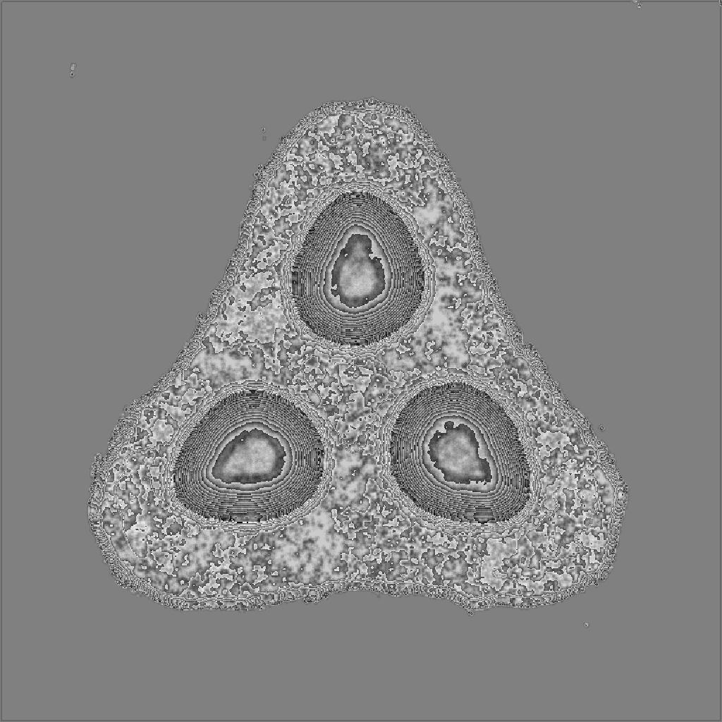 height map of SaltrockColonyR